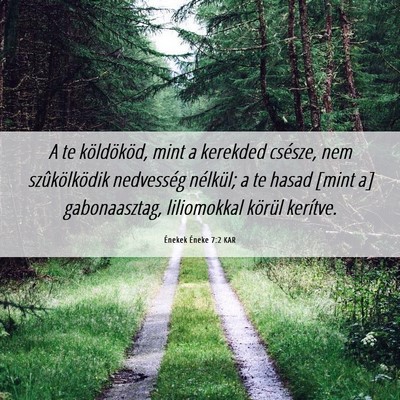 Picture 06 - Énekek Éneke 7:2 KAR - A te köldököd, mint a kerekded csésze, nem - Bible Verse Picture