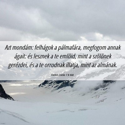 Picture 06 - Énekek Éneke 7:8 KAR - Azt mondám: felhágok a pálmafára, megfogom - Bible Verse Picture