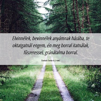 Picture 06 - Énekek Éneke 8:2 KAR - Elvinnélek, bevinnélek anyámnak házába, te - Bible Verse Picture
