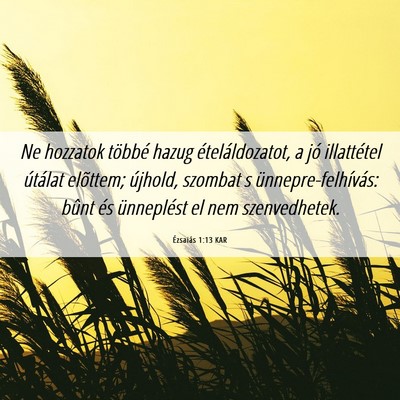 Picture 06 - Ézsaiás 1:13 KAR - Ne hozzatok többé hazug ételáldozatot, a jó - Bible Verse Picture