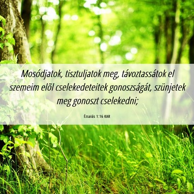 Picture 06 - Ézsaiás 1:16 KAR - Mosódjatok, tisztuljatok meg, távoztassátok el - Bible Verse Picture