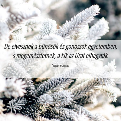 Picture 06 - Ézsaiás 1:28 KAR - De elvesznek a bûnösök és gonoszok - Bible Verse Picture