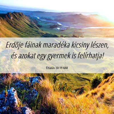 Picture 06 - Ézsaiás 10:19 KAR - Erdõje fáinak maradéka kicsiny lészen, és - Bible Verse Picture