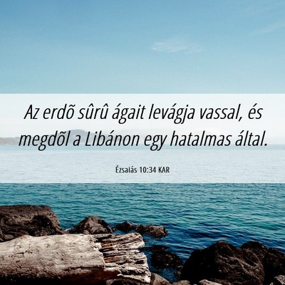 Picture 06 - Ézsaiás 10:34 KAR - Az erdõ sûrû ágait levágja vassal, és - Bible Verse Picture
