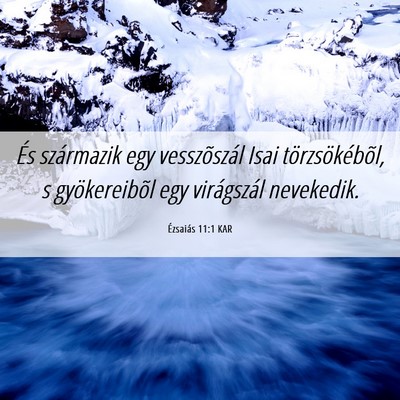 Picture 06 - Ézsaiás 11:1 KAR - És származik egy vesszõszál Isai - Bible Verse Picture