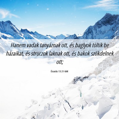 Picture 06 - Ézsaiás 13:21 KAR - Hanem vadak tanyáznak ott, és baglyok töltik - Bible Verse Picture