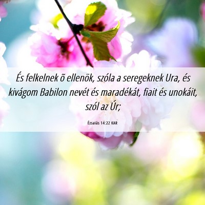 Picture 06 - Ézsaiás 14:22 KAR - És felkelnek õ ellenök, szóla a seregeknek - Bible Verse Picture