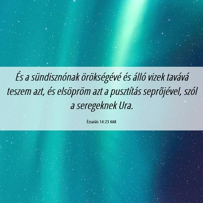 Picture 06 - Ézsaiás 14:23 KAR - És a sündisznónak örökségévé és álló - Bible Verse Picture