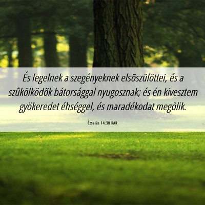 Picture 06 - Ézsaiás 14:30 KAR - És legelnek a szegényeknek elsõszülöttei, - Bible Verse Picture