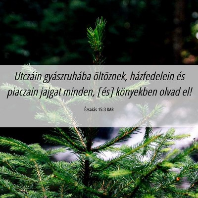 Picture 06 - Ézsaiás 15:3 KAR - Utczáin gyászruhába öltöznek, házfedelein - Bible Verse Picture