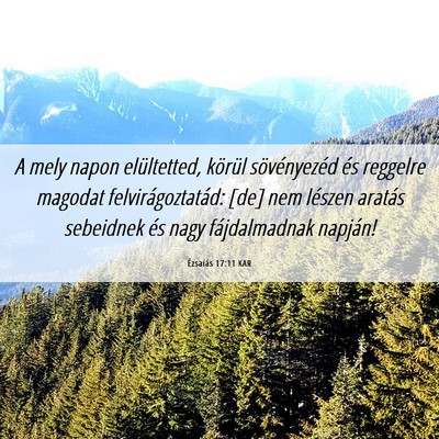 Picture 06 - Ézsaiás 17:11 KAR - A mely napon elültetted, körül sövényezéd - Bible Verse Picture