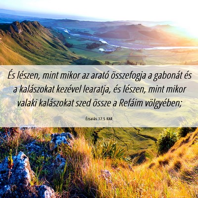 Picture 06 - Ézsaiás 17:5 KAR - És lészen, mint mikor az arató összefogja a - Bible Verse Picture