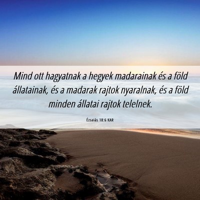 Picture 06 - Ézsaiás 18:6 KAR - Mind ott hagyatnak a hegyek madarainak és a - Bible Verse Picture