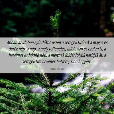 Picture 06 - Ézsaiás 18:7 KAR - Abban az idõben ajándékot viszen a seregek - Bible Verse Picture