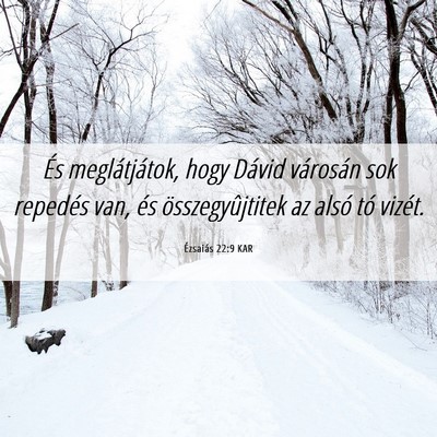 Picture 06 - Ézsaiás 22:9 KAR - És meglátjátok, hogy Dávid városán sok - Bible Verse Picture
