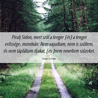 Picture 06 - Ézsaiás 23:4 KAR - Pirulj Sidon, mert szól a tenger [és] a tenger - Bible Verse Picture