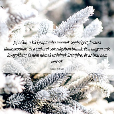 Picture 06 - Ézsaiás 31:1 KAR - Jaj nékik, a kik Égyiptomba mennek - Bible Verse Picture