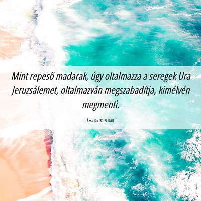 Picture 06 - Ézsaiás 31:5 KAR - Mint repesõ madarak, úgy oltalmazza a seregek - Bible Verse Picture