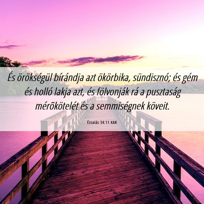 Picture 06 - Ézsaiás 34:11 KAR - És örökségül bírándja azt ökörbika, - Bible Verse Picture
