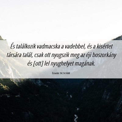 Picture 06 - Ézsaiás 34:14 KAR - És találkozik vadmacska a vadebbel, és a - Bible Verse Picture