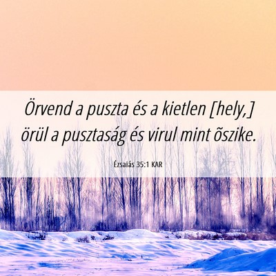 Picture 06 - Ézsaiás 35:1 KAR - Örvend a puszta és a kietlen [hely,] örül a - Bible Verse Picture