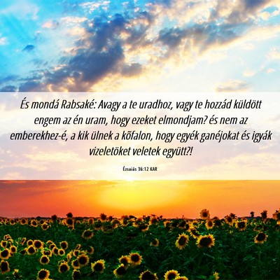 Picture 06 - Ézsaiás 36:12 KAR - És mondá Rabsaké: Avagy a te uradhoz, vagy te - Bible Verse Picture