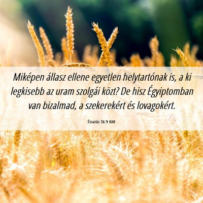 Picture 06 - Ézsaiás 36:9 KAR - Miképen állasz ellene egyetlen helytartónak - Bible Verse Picture