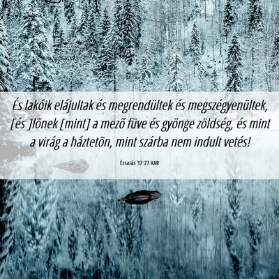 Picture 06 - Ézsaiás 37:27 KAR - És lakóik elájultak és megrendültek és - Bible Verse Picture