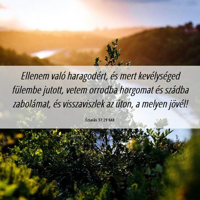 Picture 06 - Ézsaiás 37:29 KAR - Ellenem való haragodért, és mert kevélységed - Bible Verse Picture