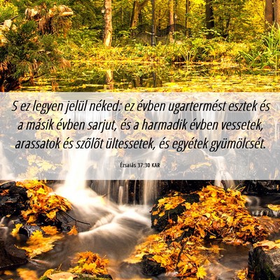 Picture 06 - Ézsaiás 37:30 KAR - S ez legyen jelül néked: ez évben ugartermést - Bible Verse Picture
