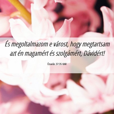 Picture 06 - Ézsaiás 37:35 KAR - És megoltalmazom e várost, hogy megtartsam azt - Bible Verse Picture