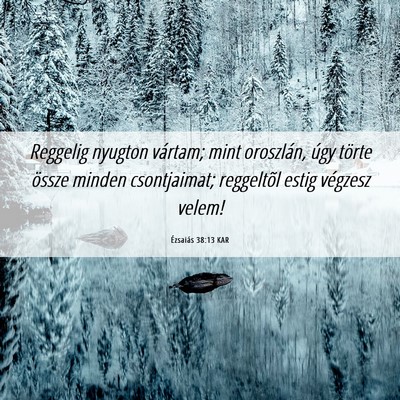 Picture 06 - Ézsaiás 38:13 KAR - Reggelig nyugton vártam; mint oroszlán, úgy - Bible Verse Picture