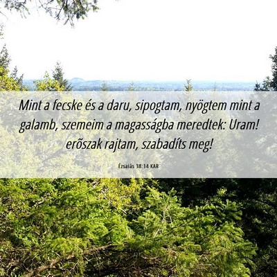 Picture 06 - Ézsaiás 38:14 KAR - Mint a fecske és a daru, sipogtam, nyögtem mint - Bible Verse Picture