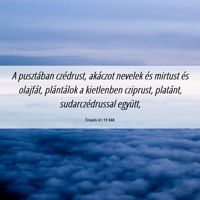 Picture 06 - Ézsaiás 41:19 KAR - A pusztában czédrust, akáczot nevelek és - Bible Verse Picture