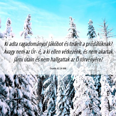Picture 06 - Ézsaiás 42:24 KAR - Ki adta ragadományul Jákóbot és Izráelt a - Bible Verse Picture