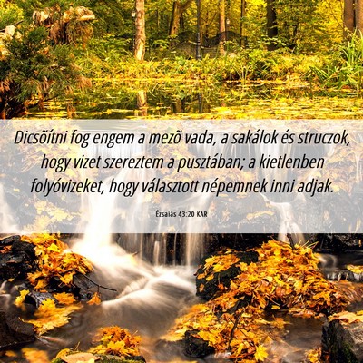 Picture 06 - Ézsaiás 43:20 KAR - Dicsõítni fog engem a mezõ vada, a sakálok - Bible Verse Picture