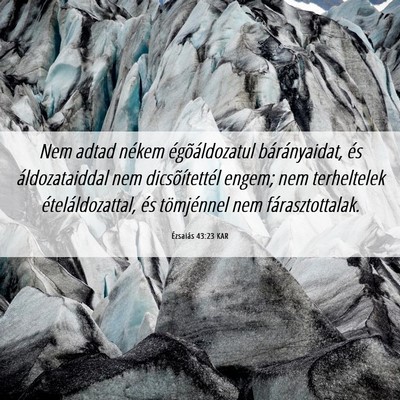 Picture 06 - Ézsaiás 43:23 KAR - Nem adtad nékem égõáldozatul bárányaidat, - Bible Verse Picture