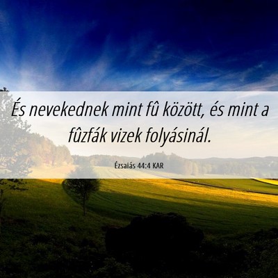 Picture 06 - Ézsaiás 44:4 KAR - És nevekednek mint fû között, és mint a - Bible Verse Picture