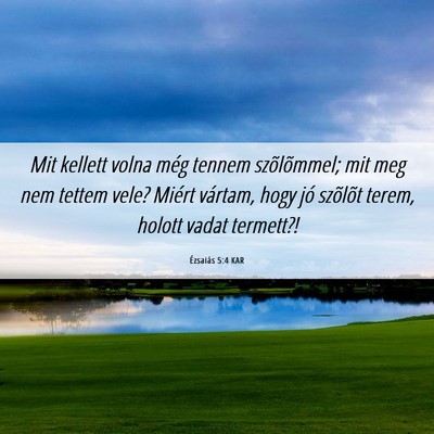 Picture 06 - Ézsaiás 5:4 KAR - Mit kellett volna még tennem szõlõmmel; mit - Bible Verse Picture