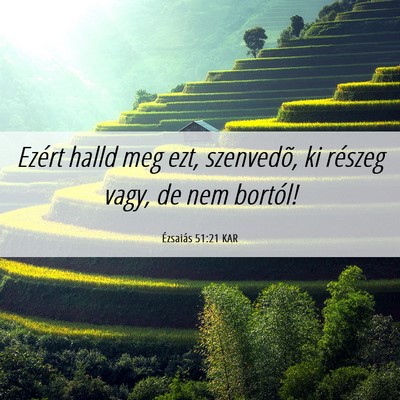 Picture 06 - Ézsaiás 51:21 KAR - Ezért halld meg ezt, szenvedõ, ki részeg vagy, - Bible Verse Picture