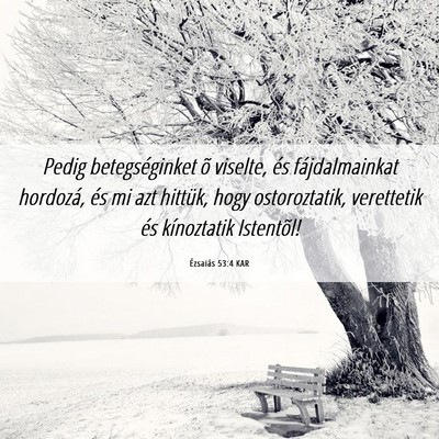 Picture 06 - Ézsaiás 53:4 KAR - Pedig betegséginket õ viselte, és - Bible Verse Picture