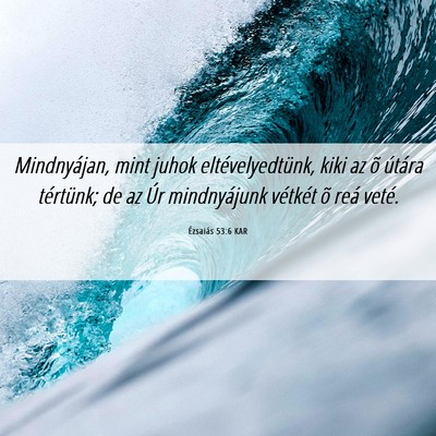 Picture 06 - Ézsaiás 53:6 KAR - Mindnyájan, mint juhok eltévelyedtünk, kiki az - Bible Verse Picture