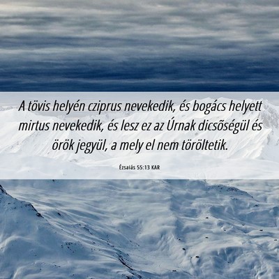 Picture 06 - Ézsaiás 55:13 KAR - A tövis helyén cziprus nevekedik, és bogács - Bible Verse Picture