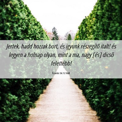 Picture 06 - Ézsaiás 56:12 KAR - Jertek, hadd hozzak bort, és igyunk részegítõ - Bible Verse Picture