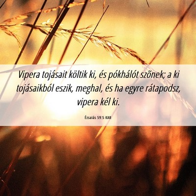 Picture 06 - Ézsaiás 59:5 KAR - Vipera tojásait költik ki, és pókhálót - Bible Verse Picture