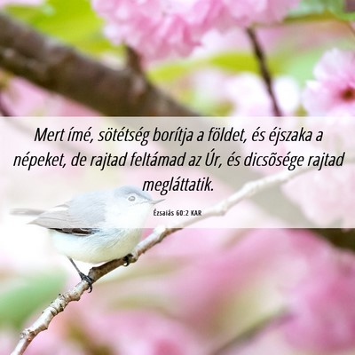 Picture 06 - Ézsaiás 60:2 KAR - Mert ímé, sötétség borítja a földet, és - Bible Verse Picture