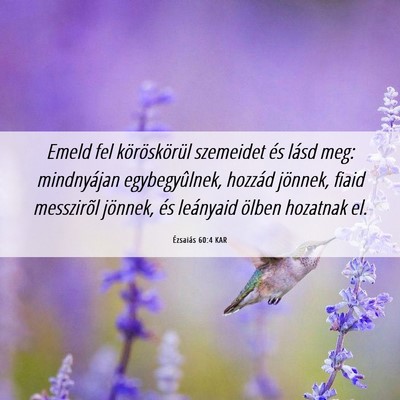 Picture 06 - Ézsaiás 60:4 KAR - Emeld fel köröskörül szemeidet és lásd meg: - Bible Verse Picture