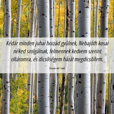 Picture 06 - Ézsaiás 60:7 KAR - Kédár minden juhai hozzád gyûlnek, Nebajóth - Bible Verse Picture