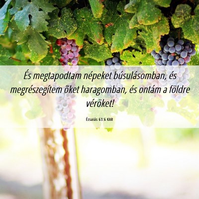 Picture 06 - Ézsaiás 63:6 KAR - És megtapodtam népeket búsulásomban, és - Bible Verse Picture