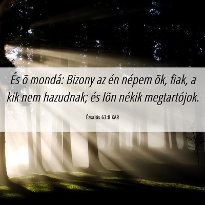 Picture 06 - Ézsaiás 63:8 KAR - És õ mondá: Bizony az én népem õk, fiak, a - Bible Verse Picture